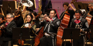 DSO Welcomes Fall Concerts in October DSO Fall concerts Dia de los Muertos