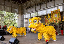 Panda Fest Returns to Dallas Nov. 6 Panda Fest performers in Dallas