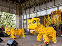 Panda Fest Returns to Dallas Nov. 6 Panda Fest performers in Dallas