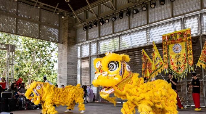 Panda Fest Returns to Dallas Nov. 6 Panda Fest performers in Dallas
